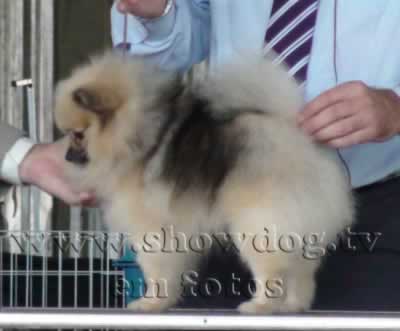 Clique sobre a foto para fechar